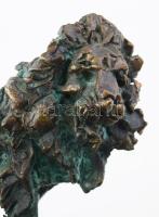 Tóth Ernő (1949-): Oroszlán. Patinázott bronz, jelzett, 19x15 cm