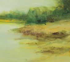 Bíró Jenő (1937-2012): Tiszapart. Olaj, vászon, jelzett a hátoldalán. Dekoratív fakeretben, 40×50 cm
