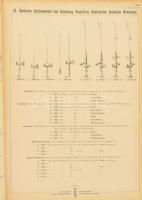 cca 1922 Aesculap-Musterbuch. Aktiengesellschaft für Feinmechanik vormals Jetter &amp; Scheerer,...