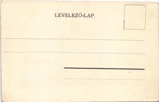 Kapnikbánya, Cavnic; Fő tér, Felsőbánya osztály és igazgatói lak, Rótai telep. Özv. Haraga Albertné ...