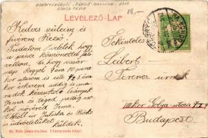 1909 Rozsnyófürdő, Kúpele Roznava (Rozsnyó, Roznava); Fürdő szálloda, lovaskocsi. Búfy János kiadása...