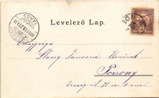 1900 Somorja, Samorín; Felső-Csallóközi "Pipagyújtói" honvéd emlékmű az 1849-ben elesett h...