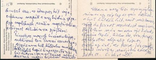 cca 1981-84 Keresztury Dezső (1904-1996) költő, korábbi korábbi vallás- és közoktatásügyi miniszter ...