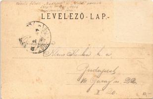 1904 Gánóc, Gánovce, Gansdorf (Poprád); Gánócz gyógyfürdő, Villa Budapest és Villa Kelet. Geruska Pá...