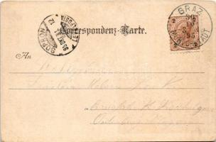 1895 (Vorläufer) Graz, gegen Süd-Westen. August Matthey, Franz Plentl & Sohne Art Nouveau, flora...