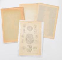 cca 1900 15 db ókori (egyiptomi, görög, római) kultúrával, művészettel, építészettel (pl. Aquincum) ...