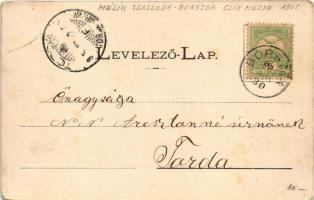 1905 Borszék, Borsec; Mélik szálloda, szökőkút. Mélik Antal saját kiadása / hotel, fountain (EK)