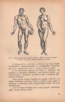 Völgyesi Ferenc:

Férfi lélek, női lélek. A yang-yin elv a természetben. Orvosok és orvostanhallga...