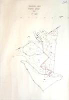 [Térkép] Szentendre város kiosztási vázrajza. Parcellázási terv a város Kisboldogtanya nevű gyümölcs...