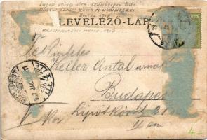 1907 Lugos, Lugoj; Király utca, Recht és Widder, Grünberger Ede üzlete. Weisz és Sziklai kiadása / K...