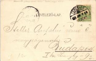 1903 Temesvár, Timisoara; Szent György tér, Szálloda az Arany Szarvashoz, kávéház, Szántó fényképész...