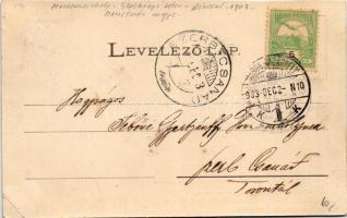 1903 Marosvásárhely, Targu Mures; Széchenyi utca, piac, Vajda üzlete. Petróczy G. kiadása / street v...