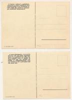 2 db régi magyar mezőgazdasági propaganda képeslap: Védjük a hasznos madarakat! Kukorica-üszöggolyva...