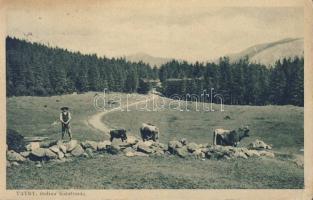 Tatra Dolina Kalatówki with highlander cow-man (EK)