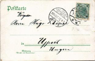 1904 Humour art postcard with boy and turkeys (EK)