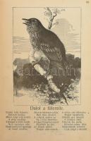 Dolinay Gyula: Arany könyv. Ifjúsági olvasmányok. Számos képpel. Bp., é.n. Hírlapkiaó. Aranyozott fe...