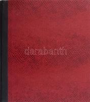 Benedek Elek: Hazánk története. Az ifjúság számára. Bp., 1905, Athenaeum, átkötött félműbőr kötés, f...