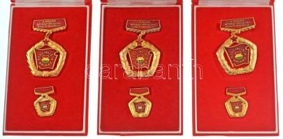 ~1970-1980. "A Magyar Népköztársaság Kiváló Brigádja - Szocialista Brigád" (12x) aranyozott, műgyantás jelvények miniatűrrel, eredeti tokokban T:AU