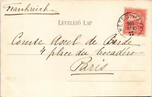 1905 Kétegyháza, Andrássy-Almásy kastély. Dobay János kiadása