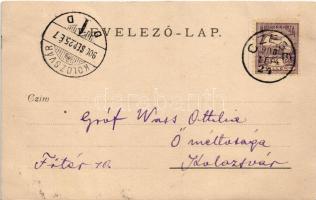 1900 Cege, Czege, Taga; Wass kastély. Gróf Wass Ottiliának címzett levél Kolozsvárra / castle. photo