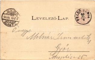 1898 (Vorläufer) Felsőbánya, Baia Sprie; templomok. Divald K. fia / churches (EK)