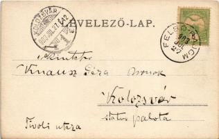 1903 Báznafürdő, Felsőbajom, Bad Baassen, Baiumul de Sus; photo