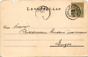 1903 Csene, Tschene, Cenej, Cenei (Banat); Uzbasich Villa, kastély / castle (szakadás / tear)