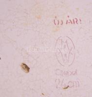 Weiss Manfréd Csepel virágmintás zománcozott edény, jelzett, zománchibákkal, d: 25 cm