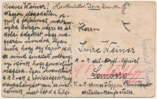 Vajdahunyad, Hunedoara; vár / castle (ázott / wet damage)