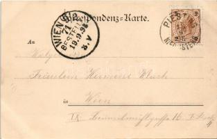 1898 (Vorläufer) Steinwandklamm. Gruss aus Weißenbach an der Triesting