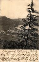 1903 Sankt Gilgen, general view with railway station (tear)