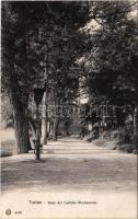 Torino, Turin; Viale del Castello Medioevale / road to the medieval castle