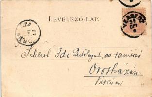 1899 (Vorläufer) Versec, Werschetz, Vrsac; Főtér a Városház utcával, Takarékpénztár, Berecz Sándor é...