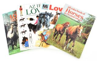 Vegyes lovas könyvtétel, 4 db

Elizabeth Johnson: All color book of horses. 100 Illustrations in c...