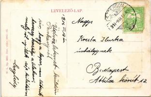 1914 Párkány, Stúrovó; Dunapart, uszály. W.L. Bp. 5522. 1912-15. (EK)