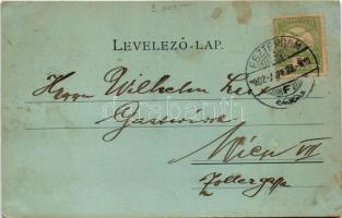 1902 Esztergom télen (fl)