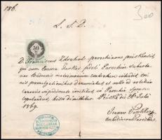 1869 Pécska (Erdély, Pecica, RO, németül Petschka) helyi plébános által aláírt kivonat