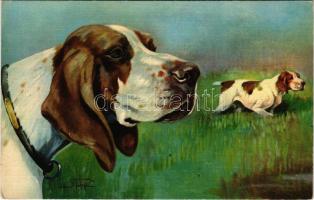 Cani da Caccia. Bracco italiano, Bianco arancio e melato / Hunting dogs art postcard. Cecami 556.