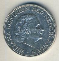 Hollandia 1959. 2 1/2G Ag "Julianna" T:2 ph