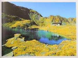 Mészáros László: Erdély természeti kincsei. Bp., 1996, Officina '96. Kiadói kartonált kötés, ki...