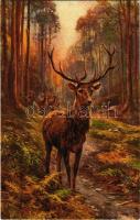 1928 Hunting art postcard with stag s: Walburg (EK)