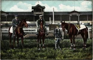 Horse racing, horse racecourse