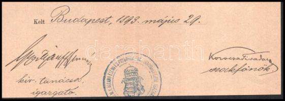 1893 Bp., polgári iskolai tanító-képezdei bizonyítvány Simoncsics Alajos részére, Gyertyánffy István...