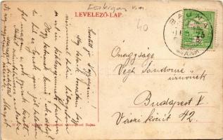 Bajna, Sándor-Metternich-kastély. W. L. Bp. Fogyasztási Szövetkezet kiadása (apró lyukak / tiny pinh...