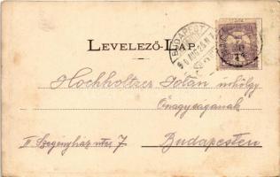 1900 Nagyenyed, Aiud; Városház, Leányiskola, Bethlen kollégium. Grünfeld Dávid kiadása / town hall, ...
