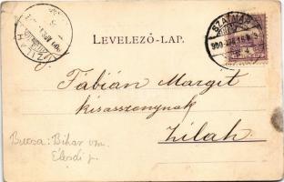 1900 Királyhágó, Bucsa, Bucea; a bucsai vasúti alagút. Dunky Fivérek cs. és kir. udvari fényképészek...