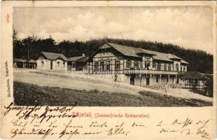 1900 Stájerlak, Steierlak, Stájerlakanina, Steierdorf, Anina; Sommerfrische Restauration / étterem. Hollschütz kiadása / restaurant (EK)