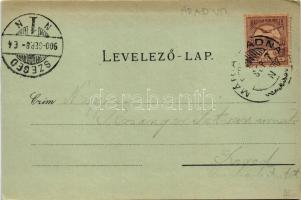 1900 Máriaradna, Mária-Radna, Radna (Lippa, Lipova); Kegytemplom, belső, kegyelemkép / pilgrimage ch...