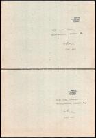 Szalay Pál (1953-2015), 2db mű: Majd csak összeáll... Enciklopédikus remény I.-II., 2001. Tus, papír...