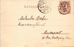 1899 (Vorläufer) Marosvásárhely, Targu Mures; tér, Gönczy Árpád, Widder Antal üzlete. Bogdánffy Istv...